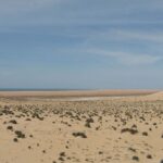 Paisaje desértico de la costa del Sáhara Occidental. Al fondo, la línea de playa, el mar y el cielo azul.