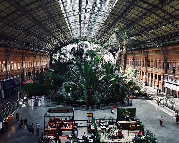 Jardín botánico en la estación de Atocha, Madrid. Fotografía: Mindaugas Petrutis (@mindaugas)