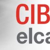 CIBER elcano, informe mensual de ciberseguridad. Elcano 2015
