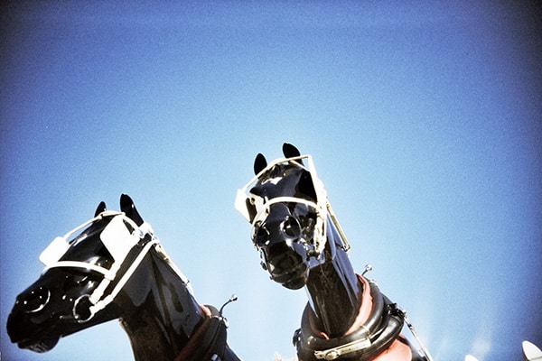 Estatua de caballos con orejeras. Foto: Staci Myers (CC BY-NC-ND 2.0)