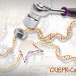 Técnica CRISPR-Cas9 de edición del genoma humano. Foto: Ernesto del Aguila - National Human Genome Research Institute (NHGRI) (CC BY-NC 2.0). Blog Elcano