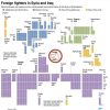 Foreign Fighters in Syria and Iraq. ICSR - AFP. Blog Elcano
