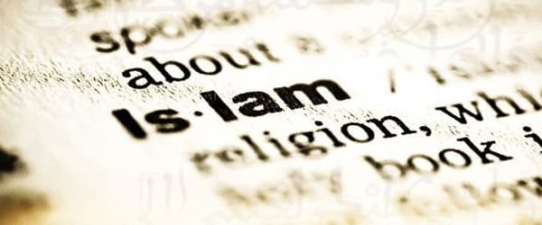 El Islam político: lecciones para principiantes. Silvia Montero, Blog Elcano