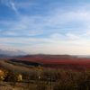 Las nuevas fronteras del turismo español. Viñedos cerca de La Estrella, La Rioja (España). Foto: Robert McIntosh (CC BY-NC 2.0).