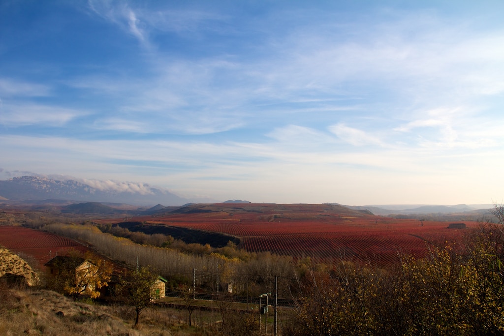 Las nuevas fronteras del turismo español. Viñedos cerca de La Estrella, La Rioja (España). Foto: Robert McIntosh (CC BY-NC 2.0).