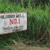 Los Vengadores del Delta del Níger no dan tregua. Imagen del campo petrolero de Oloibiri (Nigeria). Foto: Rhys Thom / Flickr (CC BY-NC-ND 2.0). Blog Elcano