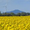 Aerogenerador en un campo de colza en Pays d'Arles. Foto: Mathieu Péborde (CC BY-NC-ND 2.0)