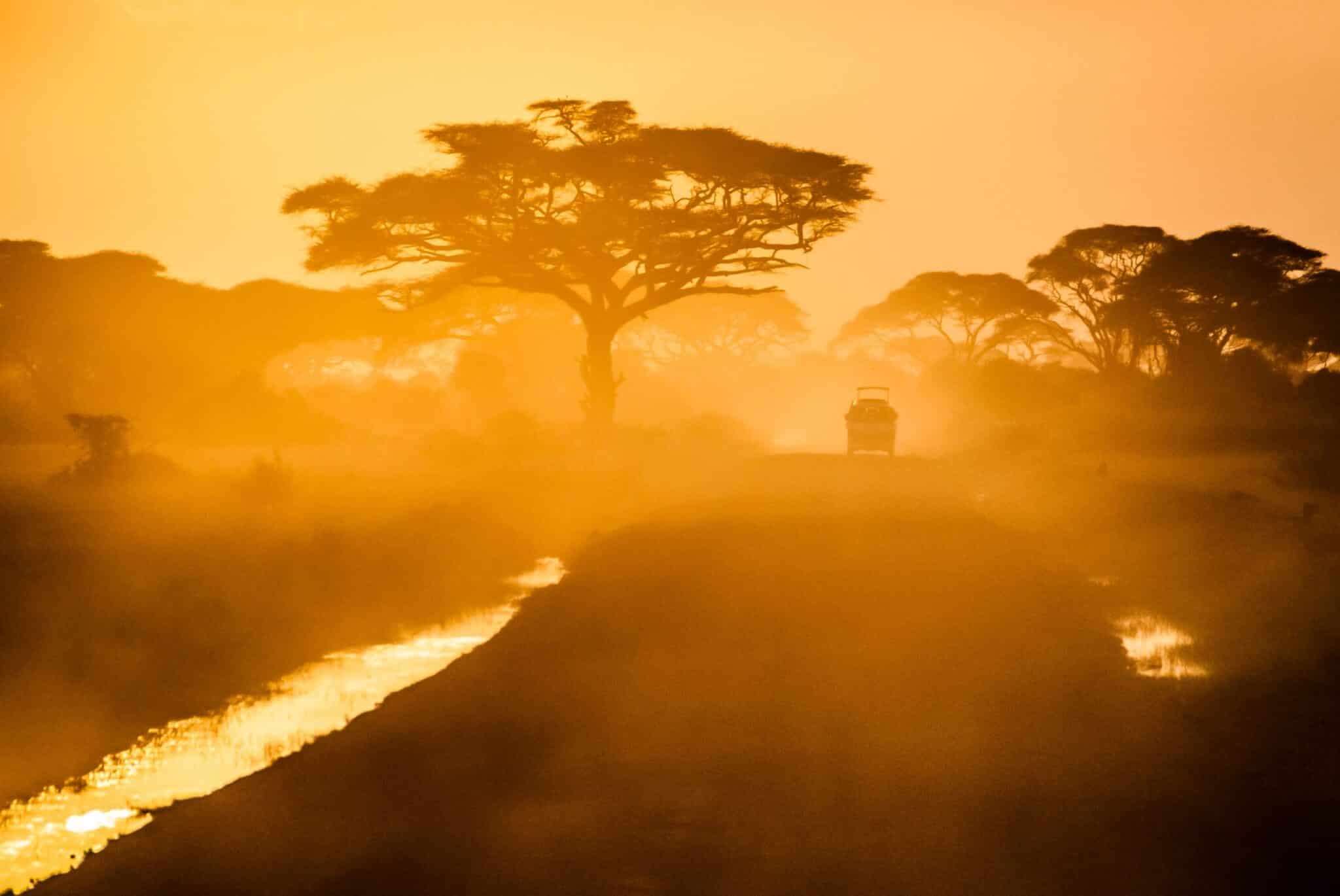 Car passing by in between trees (Amboseli national park, Kenya).