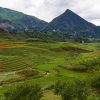 Asia-Pacific global presence: the emerged region. Terraced rice paddies in Sapa (Vietnam). Photo: Brian Jeffery Beggerly (CC BY 2.0). Elcano Blog