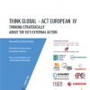 Think Global Act European IIV (2013).