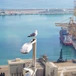 What is happening with Spanish exports? Port of Barcelona, Spain. Photo: Triangle Eight (@tiangleeight). Elcano Blog