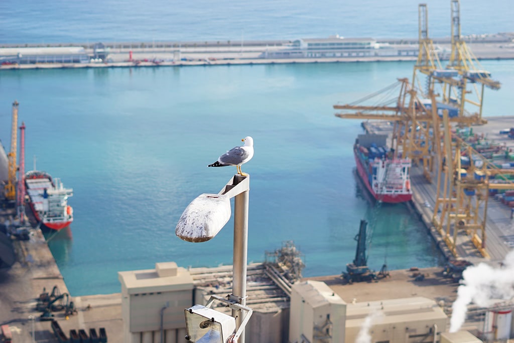 What is happening with Spanish exports? Port of Barcelona, Spain. Photo: Triangle Eight (@tiangleeight). Elcano Blog