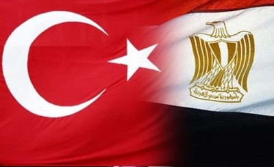 Parallels between Egypt’s and Turkey’s protests. William Chislett. Elcano Blog