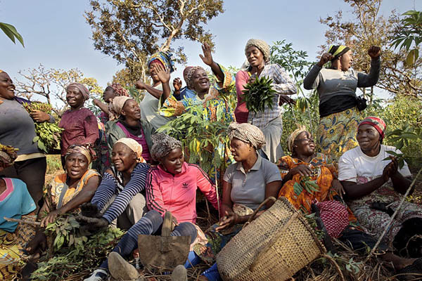 UN Women's Gender Road Project in Cameroon. Photo: UN Women (CC BY-NC-ND 2.0)