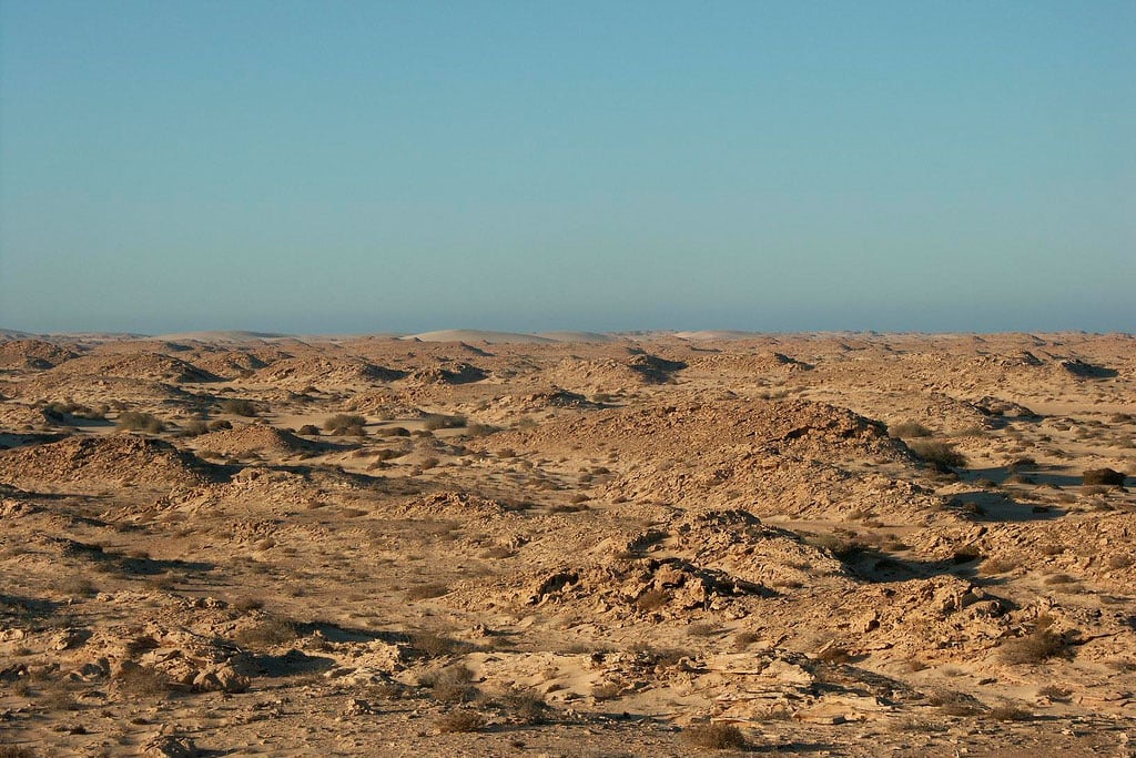 Paisaje del Sahara Occidental. Foto: bob rayner from UK (Wikimedia Commons / CC BY 2.0). Blog Elcano