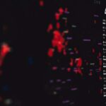 Estadísticas del Coronavirus en pantalla. Foto: Markus Spiske