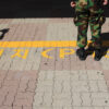 Windows of opportunity in the Korean Peninsula. Demilitarized zone between North and South Korea.