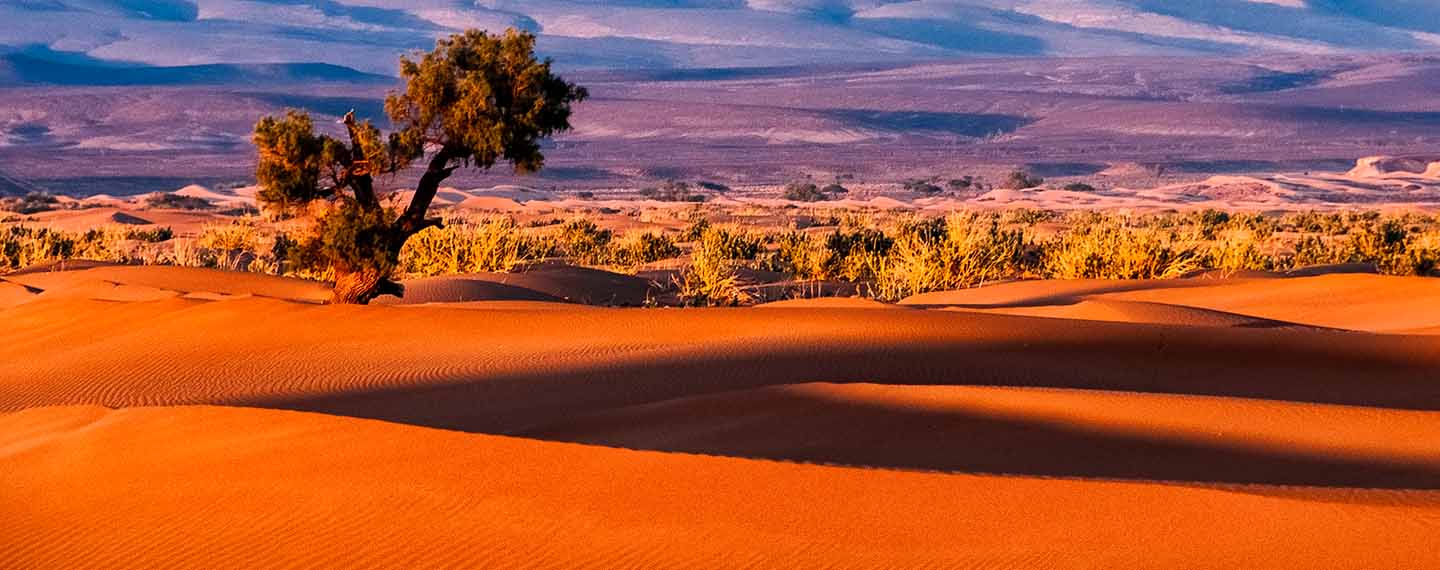 Sahara marroquí. Sergey Pesterev