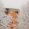 20221104 ARI67 Feas Steinberg invierno Salzburgo