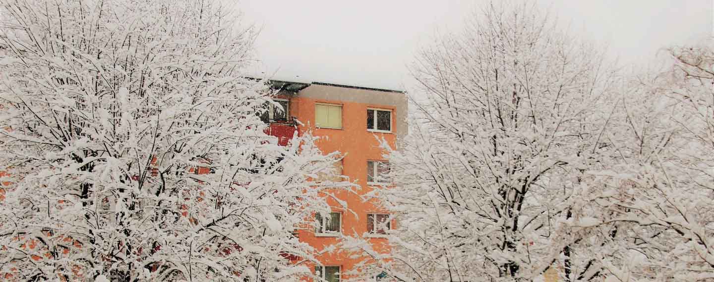20221104 ARI67 Feas Steinberg invierno Salzburgo