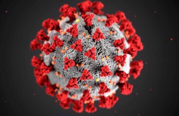 especial COVID 19 Coronavirus