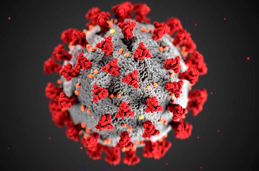 Coronavirus pandemic (COVID-19). SARS-CoV-2 virus illustratio. Photo: Centers for Disease Control and Prevention (CDC) / Alissa Eckert, MS; Dan Higgins, MAM