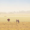Chislett021723InsideSpain Spain to be hard hit by climate change