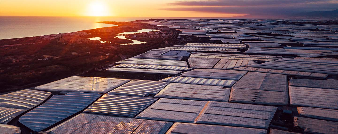 Spain prays for rain on the plain. Aerial panoramic of greenhouses in Almerimar (Spain) at the sunset