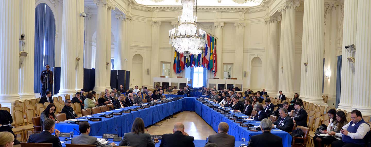 15º Período Ordinario de Sesiones del Comité Interamericano contra el Terrorismo (CICTE, principal brazo ejecutor de la OEA en materia de ciberseguridad, en marzo de 201520230707 ARI60 Vega CICTE ciberseguridad America Latina