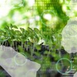Fondo de una imagen de brotes de plantas que muestra el crecimiento de la ecología o el concepto de la naturaleza, con una ilustración superpuesta de un globo terráqueo con el mapa de América Latina y el Caribe, y Europa