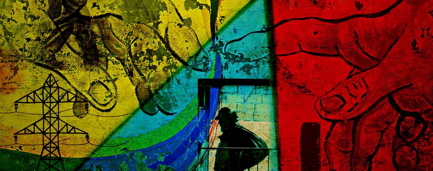 Proyecto fotográfico Venezuela Ecléctica. Composición de mosaicos basado en los colores de la bandera de Venezuela de temática variada.