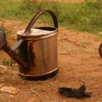 Two worn metal watering cans on a dirt ground with some vegetation, possibly used for irrigation in a rural or agricultural environment. Development