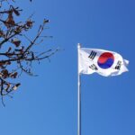 La bandera de Corea del Sur ondeando en un mástil en Yongin-si, Gyeonggi-do, con un cielo azul despejado y ramas de árboles otoñales en primer plano. Corea