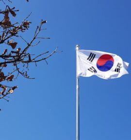 South Korean flag waving on a flagpole in Yongin-si, Gyeonggi-do, with a clear blue sky and autumn tree branches in the foreground. Korea