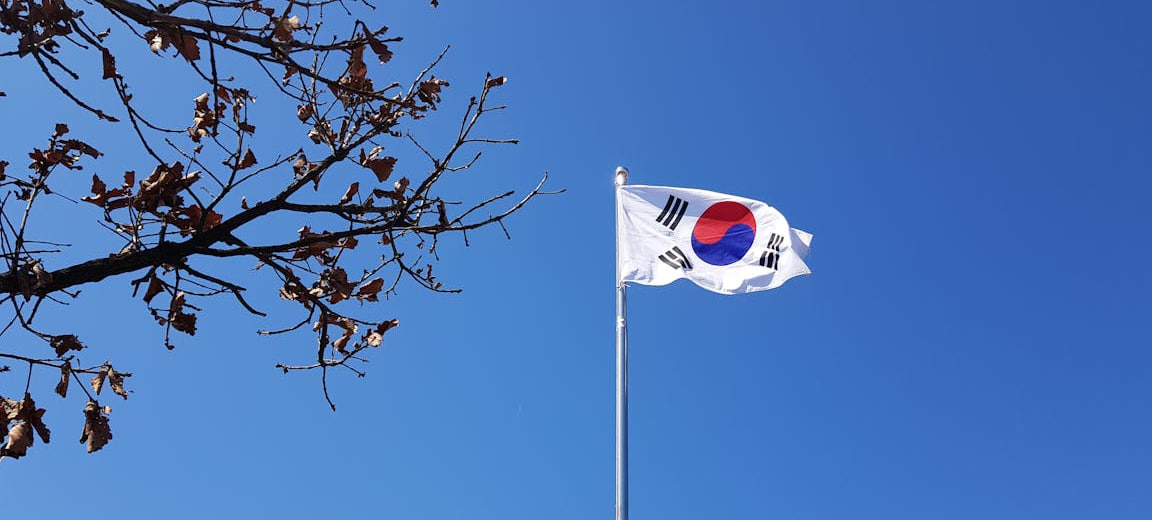 La bandera de Corea del Sur ondeando en un mástil en Yongin-si, Gyeonggi-do, con un cielo azul despejado y ramas de árboles otoñales en primer plano. Corea