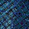 Vista desde abajo de una instalación artística luminosa con formas esféricas y cilíndricas en diferentes tonos de azul y verde, suspendidas en el aire contra un techo enrejado de vidrio. Tecnologías cuánticas