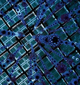 Vista desde abajo de una instalación artística luminosa con formas esféricas y cilíndricas en diferentes tonos de azul y verde, suspendidas en el aire contra un techo enrejado de vidrio. Tecnologías cuánticas