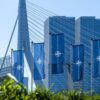 Varias banderas azules verticales de la OTAN ondean frente a un puente moderno con cables tensores y edificios altos de vidrio en un entorno urbano en Rotterdam (Países Bajos) con motivo del día de la Alianza en abril de 2023.