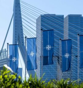 Varias banderas azules verticales de la OTAN ondean frente a un puente moderno con cables tensores y edificios altos de vidrio en un entorno urbano en Rotterdam (Países Bajos) con motivo del día de la Alianza en abril de 2023.