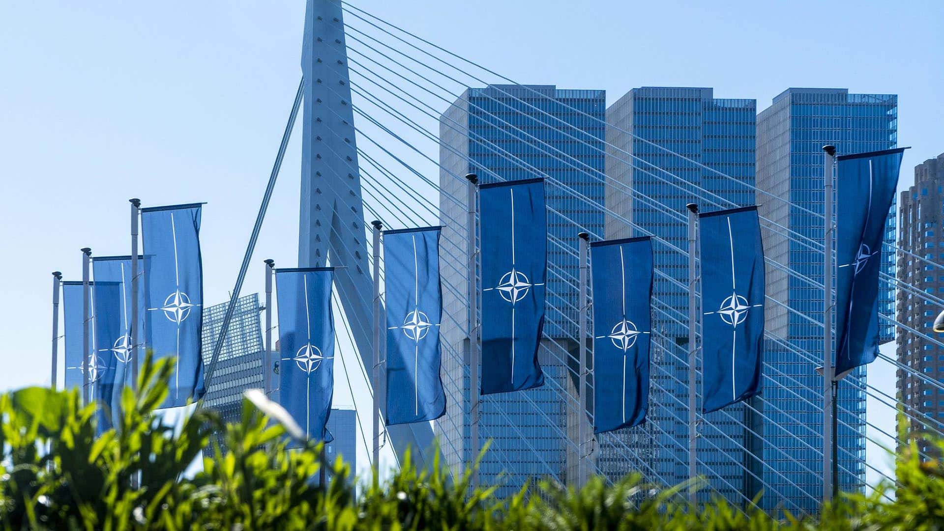Several vertical NATO blue flags fly in front of a modern cable-stayed bridge and tall glass buildings in an urban setting in Rotterdam, the Netherlands, on the NATO Day in April 2023.