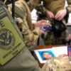 Equipo de respuesta especial del ICE en una reunión informativa previa a una detención en Rhode Island. En primer plano, parte del uniforme de unos de los miembros con la insignia del ICE - Special Response Team. Detrás, varios miembros del equipo con uniforme militar reunidos alrededor de una mesa y encima el dossier con la foto difuminada de la persona que van a detener.